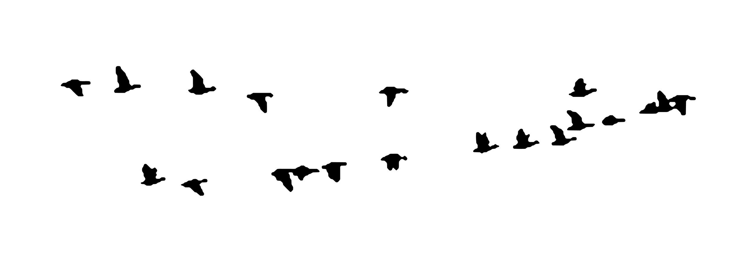 Greater white-fronted goose wedge in flight. Vector silhouette a flock of birds.
